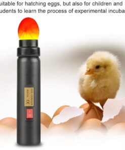 Alternative view of Egg Candler Tester High Intensity Cool LED Light Candling Lamp, Rechargeable for All Types Egg Broody or Incubator Monitor The Development of The Embryo Within Egg