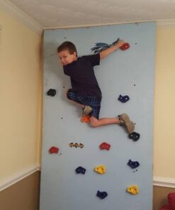 Squirrel Products Kids Rock Climbing Holds Indoor & Outdoor Playground Accessories Rock Wall Climbing Kit with Mounting Hardware 20 Pack XL Deluxe 50 518fbYS4P8L