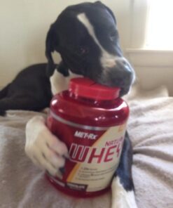 MET-Rx Natural Whey Protein Powder, Chocolate Protein Powder, 5 Lb 32 518k78PGtbL