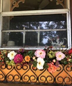 Nearly Natural 4665 Mixed Mini Peony Centerpiece Silk Flower Arrangement,10"D x 34"W x 6.5"H 10"D x 34"W x 6.5"H 35 518v8wHHhGL