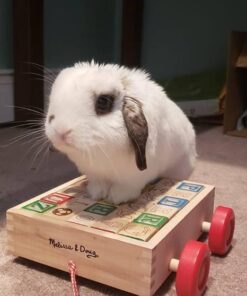 Melissa & Doug Classic ABC Wooden Block Cart Educational Toy With 30 1-Inch Solid ABC Wood Blocks For Toddlers Ages 2+ 29 5192OmXRRFL