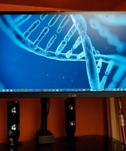 Mount-It! Single Monitor Arm Mount | Desk Stand | Heavy Duty Full Motion Height Adjustable | Fits 19 21 24 27 29 30 in VESA 75 100 Compatible Computer Screen | C-Clamp Base | Holds up to 33 Lbs 49 51942hAzQBL