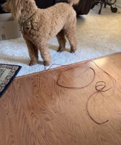 BV Dog Tie Out Cable 30 Feet - Dog Leads for Yard Heavy Duty - Up to 125 Pounds | Tie Out Cable for Dogs, Reflective Dog Lead, Dog Cable 30ft | Rust Free Dog Chain Outdoor | Dog Chain for Yard (Red) 125lbs/ 30ft/ Red 39 5198AraJIEL