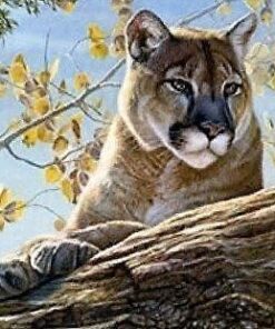 The Jungle Book (BD + DVD + Digital HD) Blu-ray August 30, 2016 26 519G0liewLL