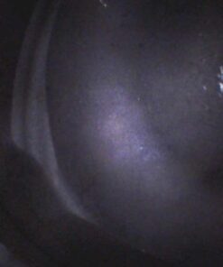 Bar's Leaks HG-1 HEAD SEAL Blown Head Gasket Repair Pack of 1 23 519JmSh0snL