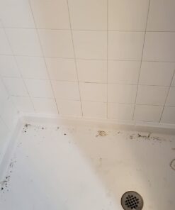 ALLWAY CT31 3-in-1 Caulk Tool for Removal and Application 1 Pack 44 519XUs6K gL