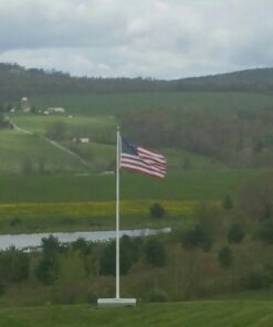 Annin Flagmakers Model 2730 American Flag Tough-Tex Polyester Flag, 5 x 8 Feet 5x8 ft. 29 519uSrybw1L