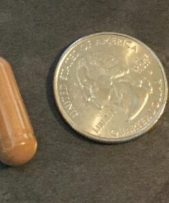 NutriONN Organic Ceylon Cinnamon - 1200mg - 120 Capsules - True Cinnamon - Powerful Antioxidant - Supports Immune Health & Heart Health - Joint & Bone Health Support 14 51A2HdM7pL