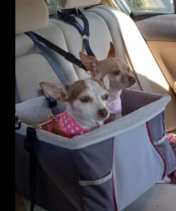 Adams Plus Flea & Tick Shampoo with Precor for Cats, Kittens, Dogs & Puppies Over 12 Weeks Of Age Sensitive Skin Flea Treatment | Kills Adult Fleas, Flea Eggs, Ticks, and Lice 12 Ounces Shampoo Only 39 51A3XxFUS1L 1