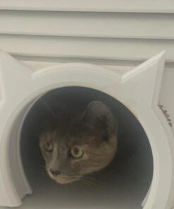 The Kitty Pass Interior cat Door - let Your cat in and Out of Closed Doors, Secure pet Proof gate Latch - for Cats up to 21 lbs 9x12 30 51AMzEUt82L