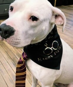 Rubie's boys Kipper Tie Multicolor 21 51AN0gYpi4L