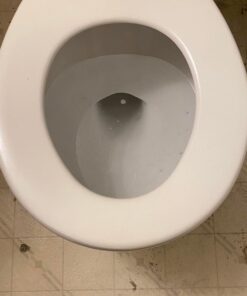 Powerstone Pumice Stone Toilet Bowl Cleaner with Handle (1-pack) - A Solution for Hard Water Stains on Toilets, Grills, Tiles, Grout & Pools Pack of 1 43 51ANVrsfgPL 1