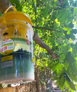 Flybuster Fly Trap - Outdoor Living, Fly Trap, Pest Control Trap for Garden 21 51B2UIpPfYS