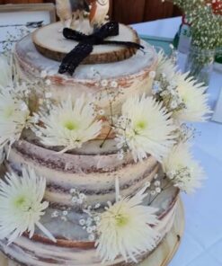 Safari Ltd. Gray Wolf Figurine - Detailed 3.75" Plastic Model Figure - Fun Educational Play Toy for Boys, Girls & Kids Ages 1+ 32 51B6lTBR7GL