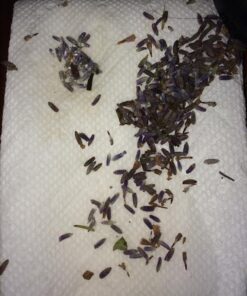 TMT Lavender Flowers Ultra Blue Grade, 1/2 lb 29 51Ba Al7FL