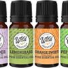 Wild Essentials Top 6 Piece Single Note Essential Oil Set -100% Pure Therapeutic Grade Aromatherapy Kit with Lavender, Eucalyptus, Tea Tree, Orange, Lemongrass, Peppermint - 10ml, Made in The USA 39 51Bovu9 ypL