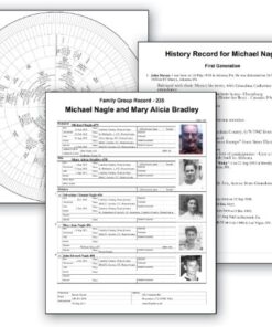 Individual Software Family Tree Heritage Platinum 9 PC Disc No 12 51CDjlPwkFL