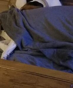 Milk-Bone MaroSnacks Large Dog Treats With Bone Marrow, 58 Ounces Beef 58 Ounce (Pack of 1) 29 51CElpnHQtL