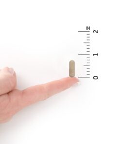 Garden of Life Multivitamin for Women, Vitamin Code Raw One for Women, Once Daily, Whole Food Iron, Probiotics for Womens Health, Gluten Free Vegetarian, 30 Count 30 Count (Pack of 1) 17 51CMy5GAJGL