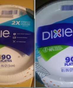 Dixie Paper Plates, 8 1/2 inch, Dinner Size Printed Disposable Plate, 90 Count Multicolor 35 51CN5hKoTSL