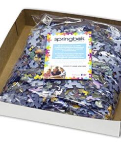 Springbok's 500 Piece Jigsaw Puzzle Book Shop 17 51CdU8KLxL