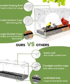 Large Clear Window Bird Feeder - Extended House with Strong Suction Cups - Steel Perch Sliding Feed Seed Tray - See Through Transparent Big Birdhouse - Wild Finch, Cardinal, Blue Jay - Cool Cat Gift 59 51Chb8wGUHL