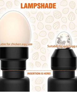 Egg Candler Tester High Intensity Cool LED Light Candling Lamp, Rechargeable for All Types Egg Broody or Incubator Monitor The Development of The Embryo Within Egg 12 51CvISjthpL