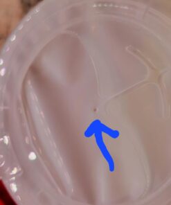 Lysol Disinfectant Wipes, Multi-Surface Antibacterial Cleaning Wipes, For Disinfecting and Cleaning, Lemon and Lime Blossom, 80 Count (Pack of 4) 80 Count (Pack of 4) White Standard Packaging 37 51D2RlXZ4nL