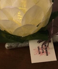 SEOH 16 X 125mm Plastic Test Tubes with Caps, 25 Pack 19 51DZsflh0RL