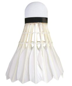 WISH Duck Feather Badminton Shuttlecocks – 12 Pack Tube of Durable Duck Feather Badminton Shuttlecocks – Feather Badminton Birdie for Indoor and Outdoor Play White 11 51E4vxQicYL