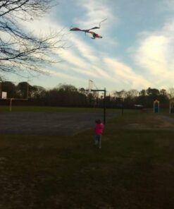 AGREATLIFE Rainbow Kite for Kids & Kites for Adults Easy to Fly, Kites for Kids Ages 4-8 Easy to Fly, Large Kites for Kids Ages 8-12, Kites for Toddlers Age 3-5, Beach Kite, Kids Kite for Beginner Classic Rainbow 34 51EDGldBnnL 3