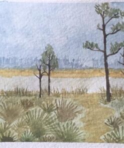 Strathmore Watercolor Postcard Pad, 4x6 inches, 15 Pack - Custom Greeting Cards for Weddings, Events, Birthdays 63 51EOBWDd yL