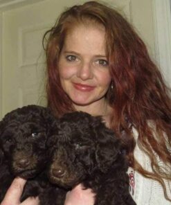 Crave Naturals Glide Thru Detangling Brush for Adults & Kids Hair- Detangler Brush for Natural,Curly,Straight,Wet/Dry Hair, Little Girl & Toddler Accessories, Teenager Gifts -1pk, Pink 1 Pack 36 51EQvUlIhL