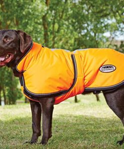 Alternative view of WeatherBeeta ComFiTec Reflective Parka 300D Deluxe Dog Coat, Orange, 14" 14"