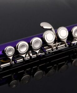Glory Closed Hole C Flute With Case, Tuning Rod and Cloth,Joint Grease and Gloves Purple 12 51Ero e7wAL
