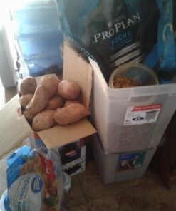 Purina Pro Plan High Protein, Digestive Health Large Breed Dry Dog Food, Chicken and Rice Formula - 34 Lb. Bag Chicken & Rice 34.00 Pound (Pack of 1) 37 51FVLeKwwQL