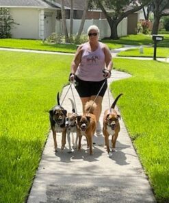 Dual Dog Leash - Double Dog Leash for Two Dogs - Tangle Free - Heavy Duty Double Ended Tandem Leash with Padded Handle for Small Medium or Large Dogs Black 29 51FYID6j GL