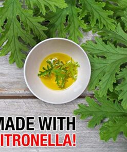 FRUIT FLY GOODBYE Gel Drain Treatment | Drain Fly Killer | Fruit Fly Killer | Drain Flies Treatment | Fruit Flies Treatment | Drain Fly & Fruit Fly Eliminator (32 oz) 19 51Fg7Ty0 uL