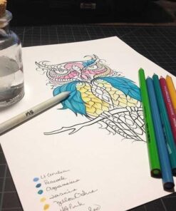 Neenah Exact Vellum Bristol, 8.5" x 11", 67 lb/147 gsm, White, 94 Brightness, 250 Sheets (80211) 250 Count (Pack of 1) 42 51FqEq1OlZL