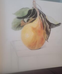 Faber-Castell Polychromos Artists' Color Pencils - Tin of 120 Colors - Premium Quality Artist Pencils 120 Count (Pack of 1) 34 51FtgUW4InL