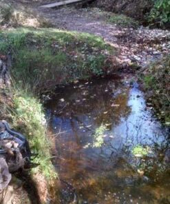 Aquascape 75000 Pond Air 2 (Double Outlet Aeration Kit) 2-Outlet 75 51G4pOQJAL