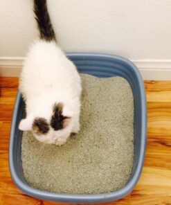 Dr. Elsey's Premium Clumping Cat Litter - Classic - 99.9% Dust-Free, Low Tracking, Hard Clumping, Superior Odor Control, Unscented & Natural Ingredients 18 lb 23 51G7rQ6tcFL