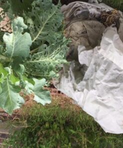 Tierra Garden 50-8000 Haxnicks Easy Fleece Jacket, 2-Pack, Large 14 51GRMr9yAVL