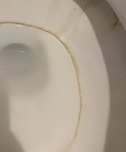 Powerstone Pumice Stone Toilet Bowl Cleaner with Handle (1-pack) - A Solution for Hard Water Stains on Toilets, Grills, Tiles, Grout & Pools Pack of 1 40 51GTtIfCUL 1