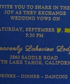 Tsukineko VM000001 Full-Size VersaMark Pigment Inkpad, 3-Inch X 2-Inch, Clear 1 24 51GbQ6 EIKL