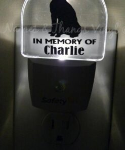 Safety 1st LED Nightlight, 1 Count (2 lights) ( Packaging May Vary ) 34 51H3ix3FMHL