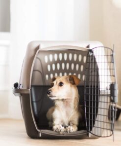 Alternative view of Petmate Two-Door Small Dog & Cat Carrier, Top or Front Loading, Made with Recycled Materials, 19 inches, For Pets up to 10 Pounds, Made in USA 19.0"L x 13.0"W x 10.0"H WHITE