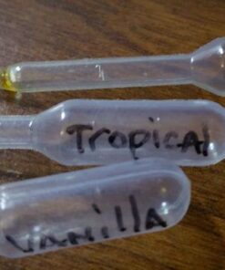 Mudder 200 Pieces 0.2 ml Capacity Disposable Graduated Transfer Pipettes Dropper Polyethylene 30 51HLFkSRV4L