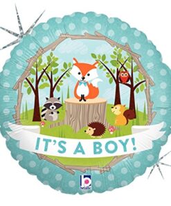 Woodland Critters Creatures Baby Boy Baby Shower Party Supplies and Balloon Decorations 12 51HTvELlesL