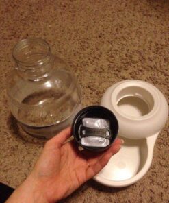 Petmate Replendish Automatic Gravity Waterer for Cats and Dogs, BPA-Free, No Batteries Required, Includes Charcoal Filter, 1 Gallon, Made in USA Silver 1 GAL 53 51HXoKUN5EL